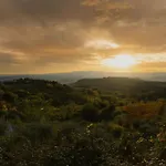Luxury 8 Bed Tuscan Near Florence With Heated Infinity Pool 别墅 *